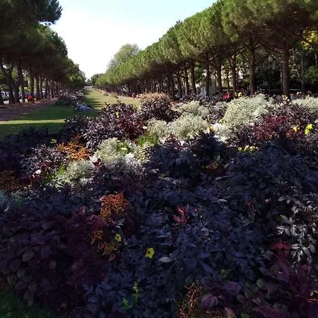 Sur Le Vieux Port Vue Sur Lejlighed La Rochelle (Charente-Maritime)
